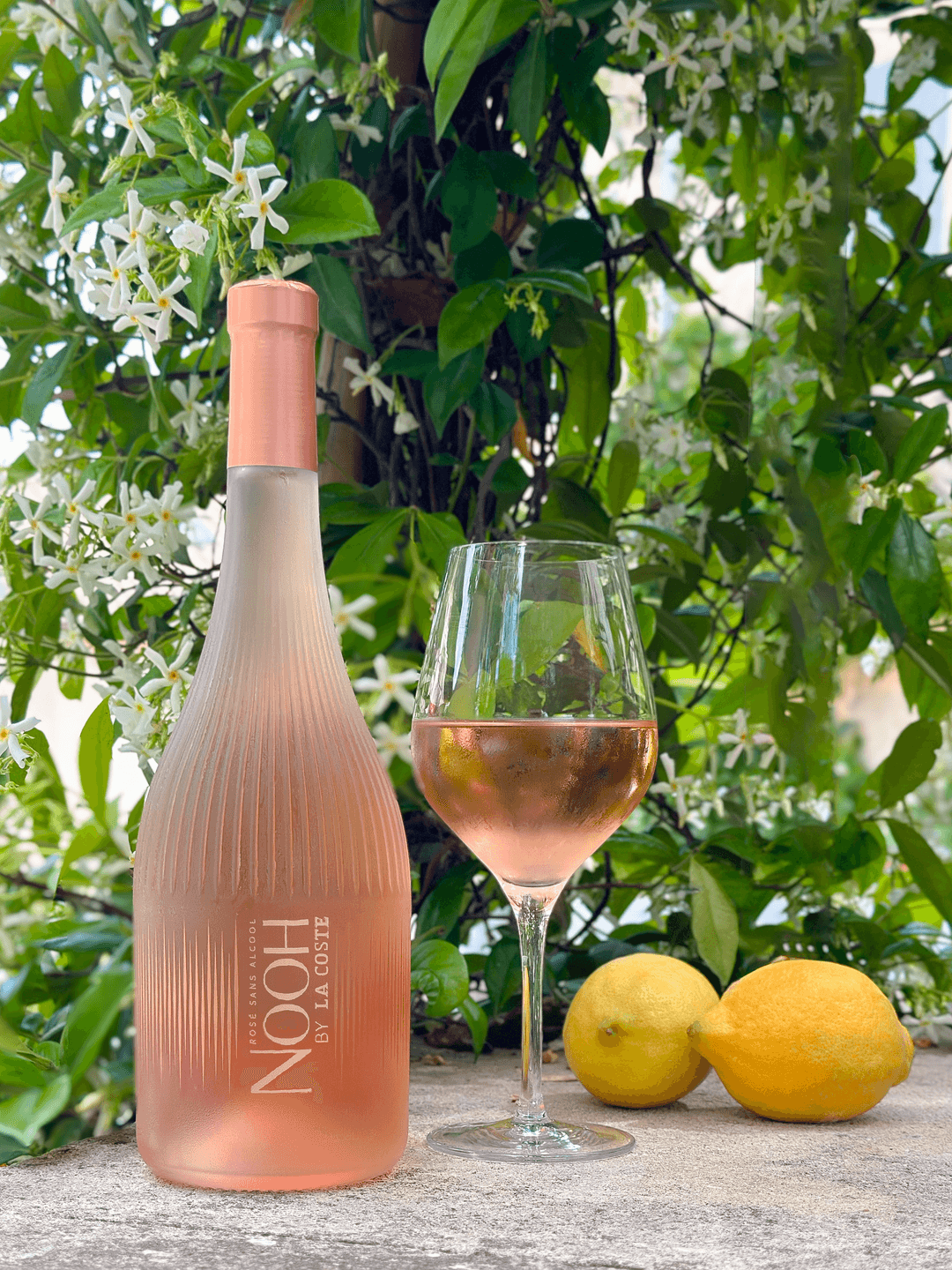 NOOH ROSÉ WINE