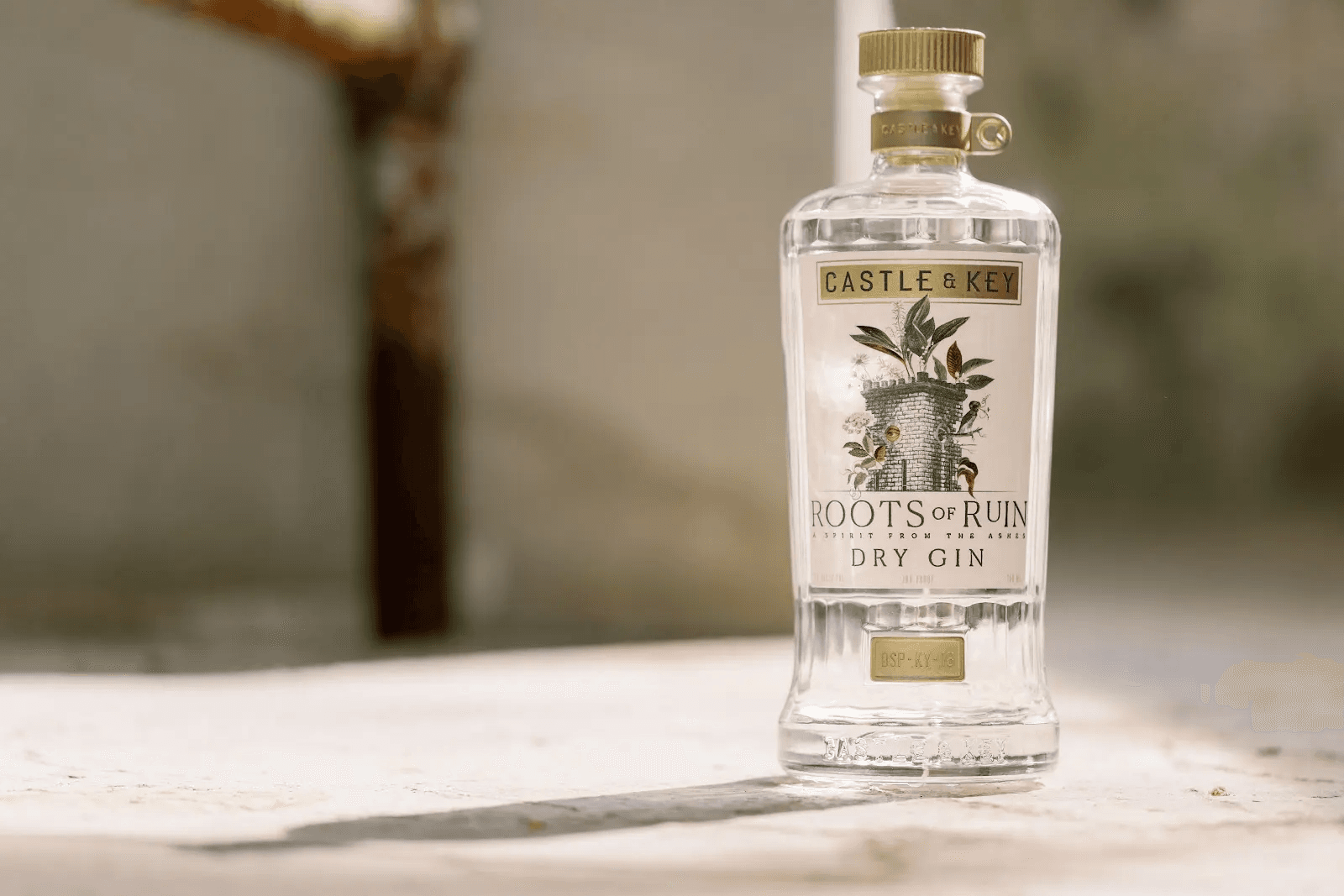 CASTLE & KEY ROOTS OF RUIN DRY GIN