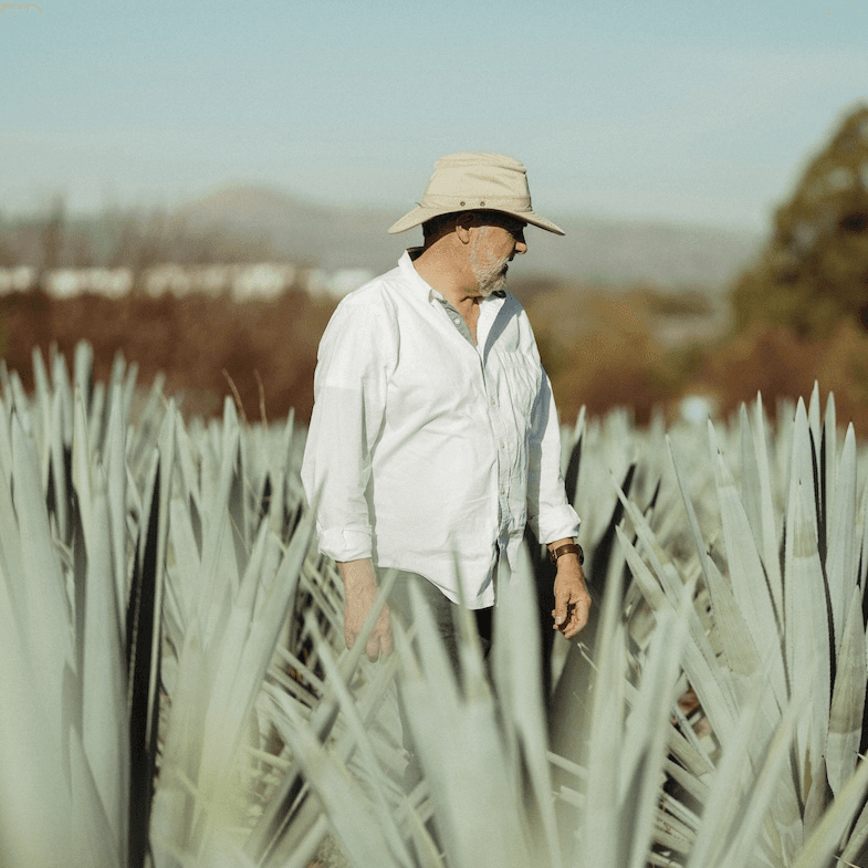 THE LOST EXPLORER TEQUILA BLANCO