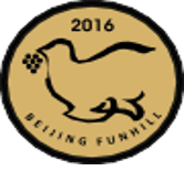 GOLD MEDAL The Silk Route Conference & Competition 2016