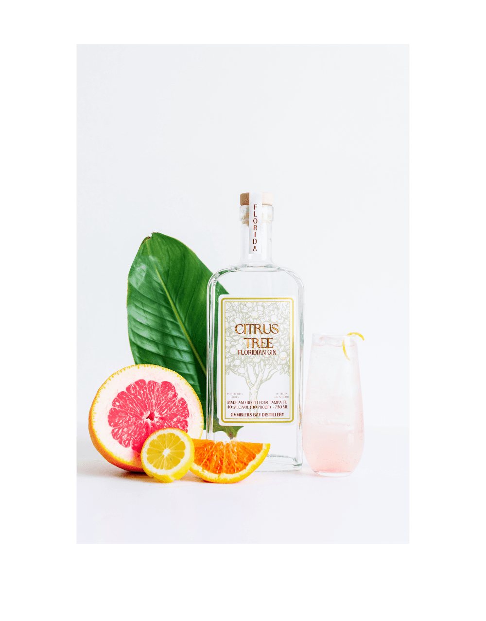 GAMBLERS BAY DISTILLERY CITRUS TREE FLORIDIAN GIN
