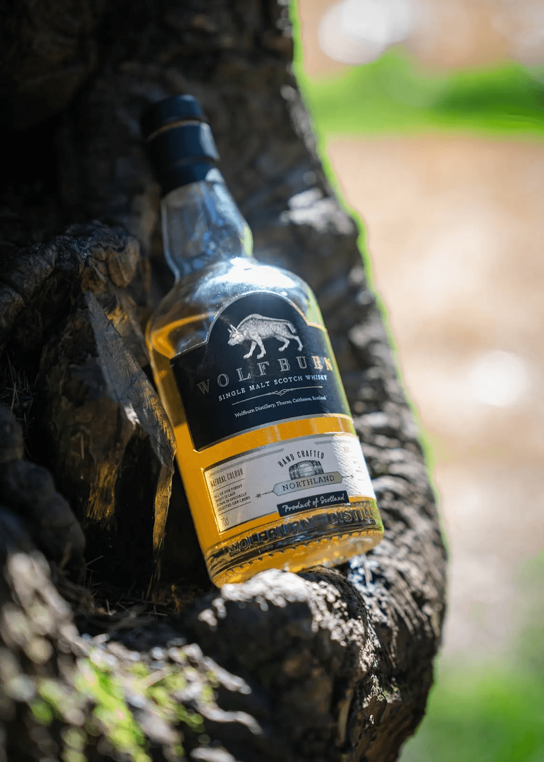 WOLFBURN NORTHLAND SCOTCH WHISKY