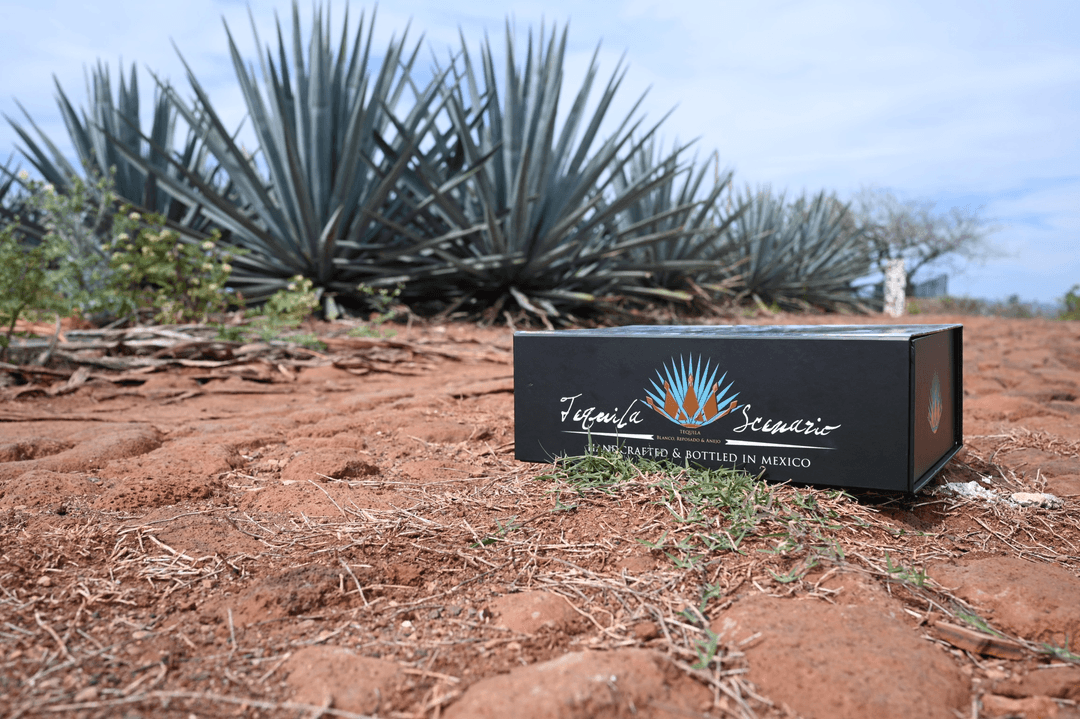 TEQUILA SCENARIO TASTING GIFT SET