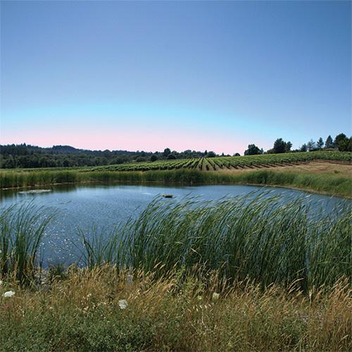 SCHRAMSBERG “MIRABELLE” BRUT ROSÉ