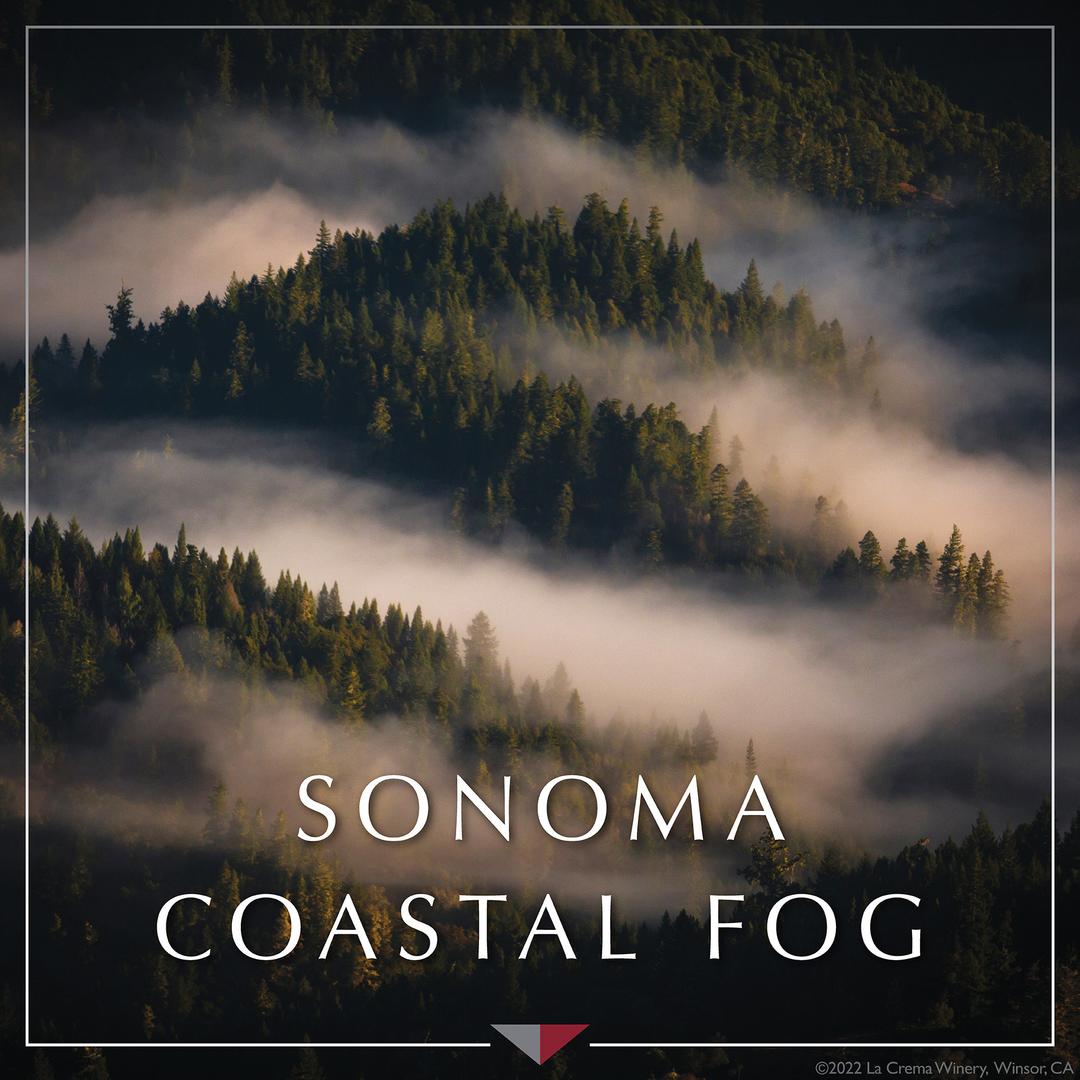 LA CREMA SONOMA COAST CHARDONNAY