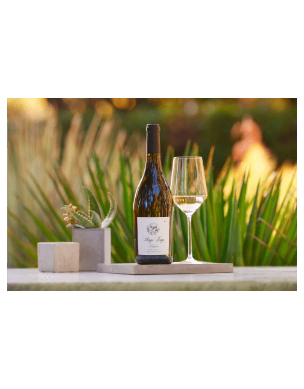 STAGS' LEAP WINERY NAPA VALLEY VIOGNIER