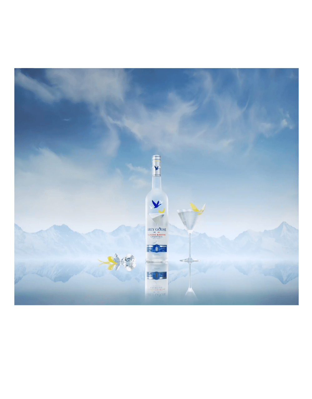 GREY GOOSE® MARTINI KIT