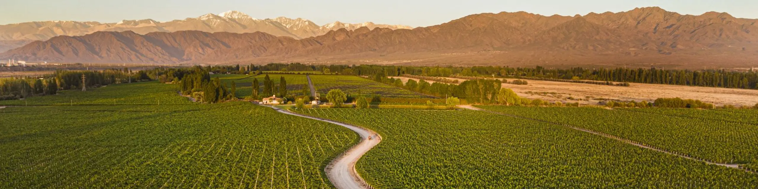 Susana Balbo Wines