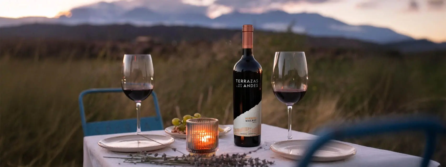 Malbec Wines