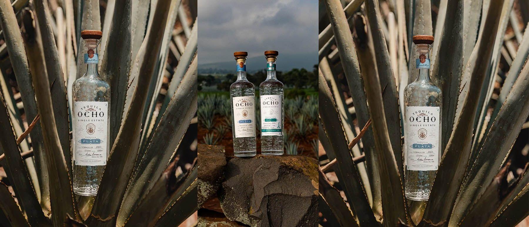 Tequila Ocho