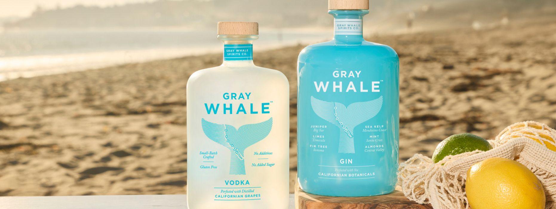Gray Whale