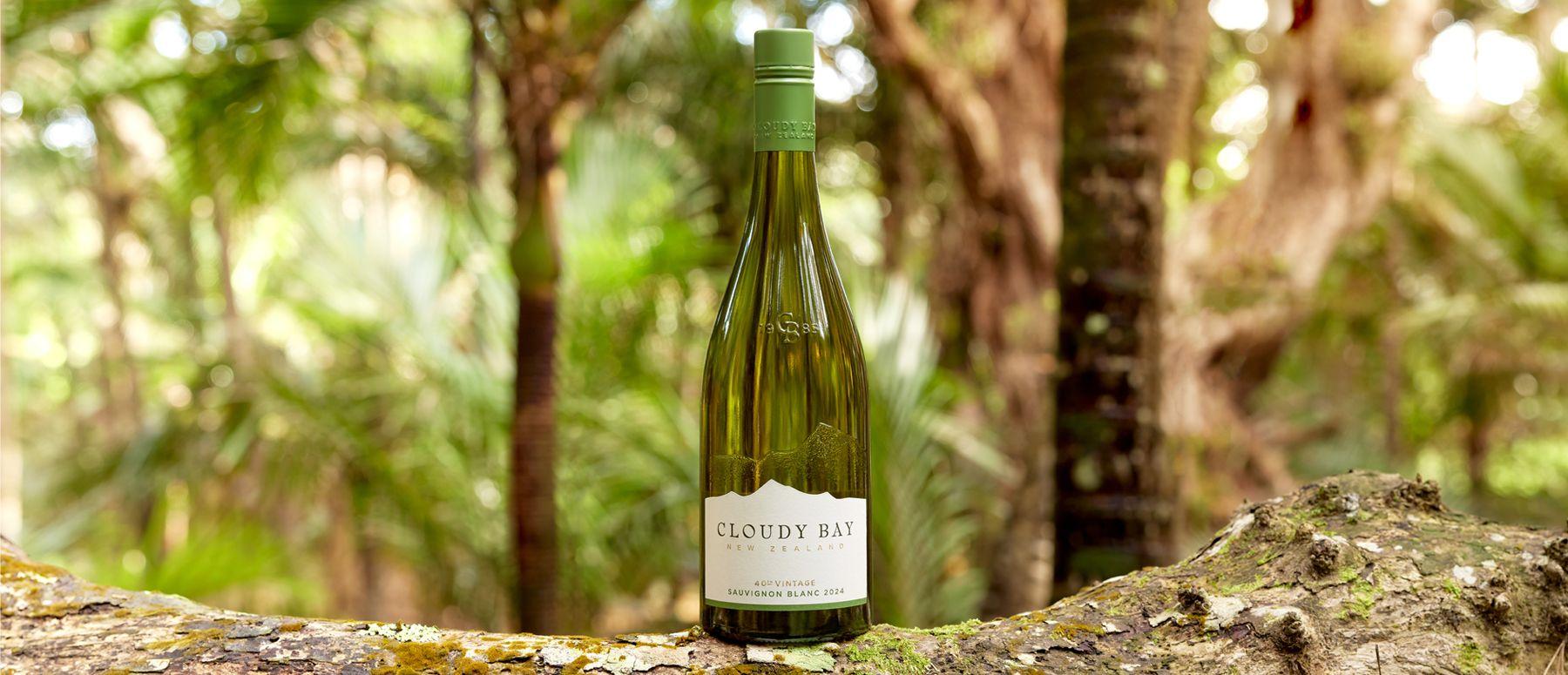 Cloudy Bay