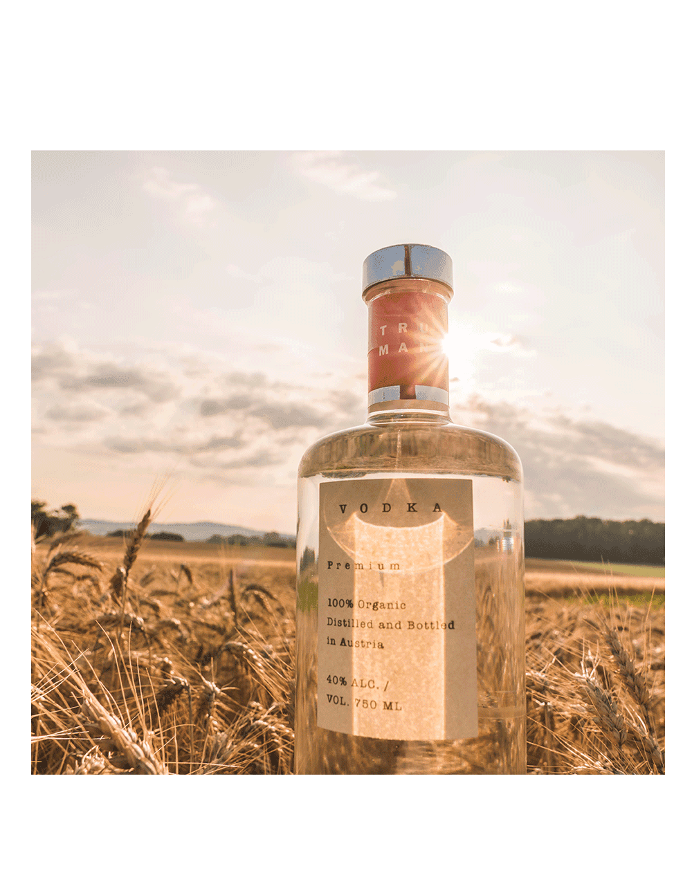TRUMAN VODKA