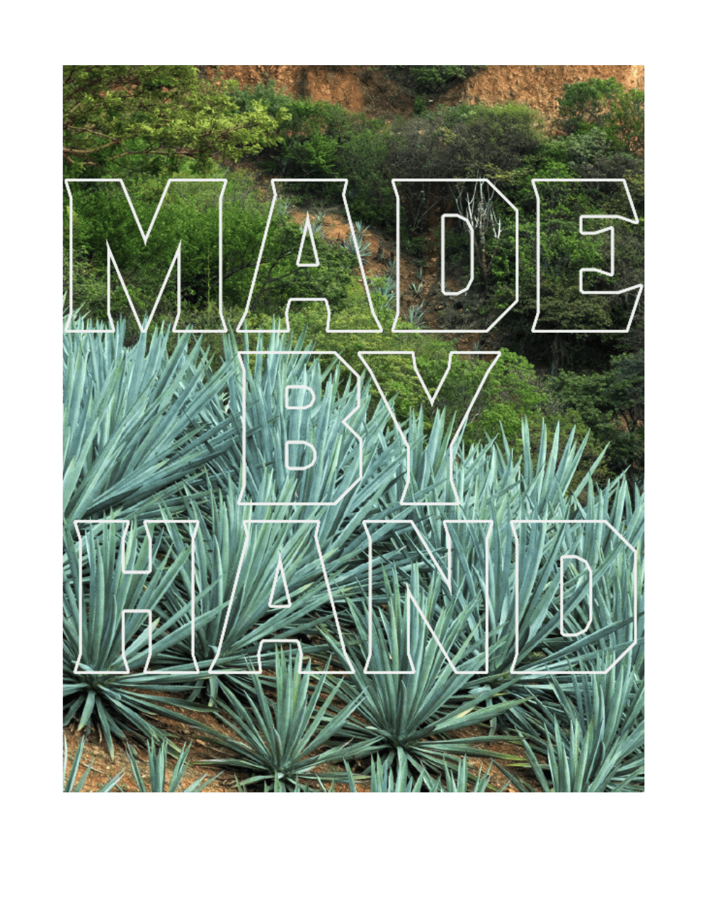 SE BUSCA MEZCAL AÑEJO