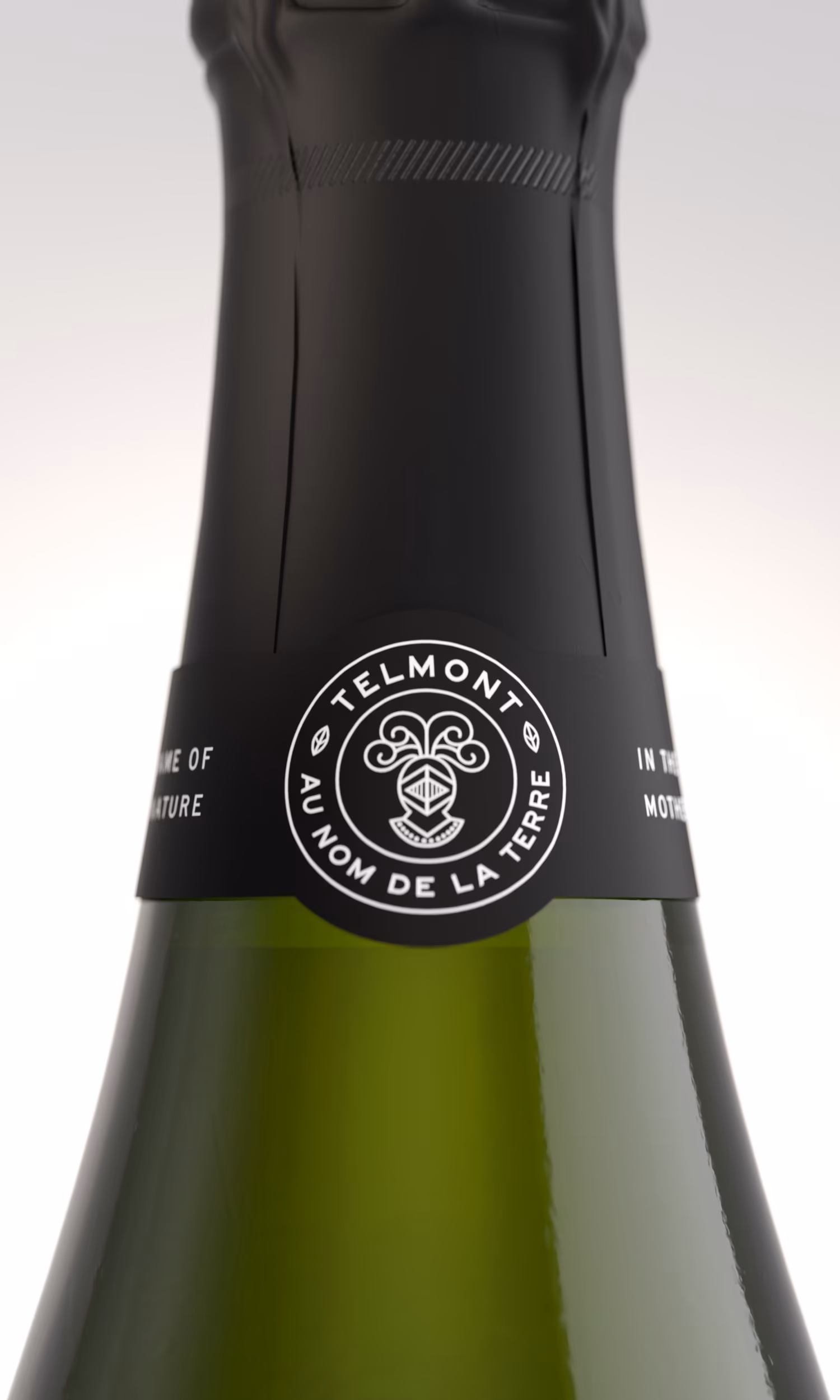 TELMONT CHAMPAGNE RÉSERVE DE LA TERRE