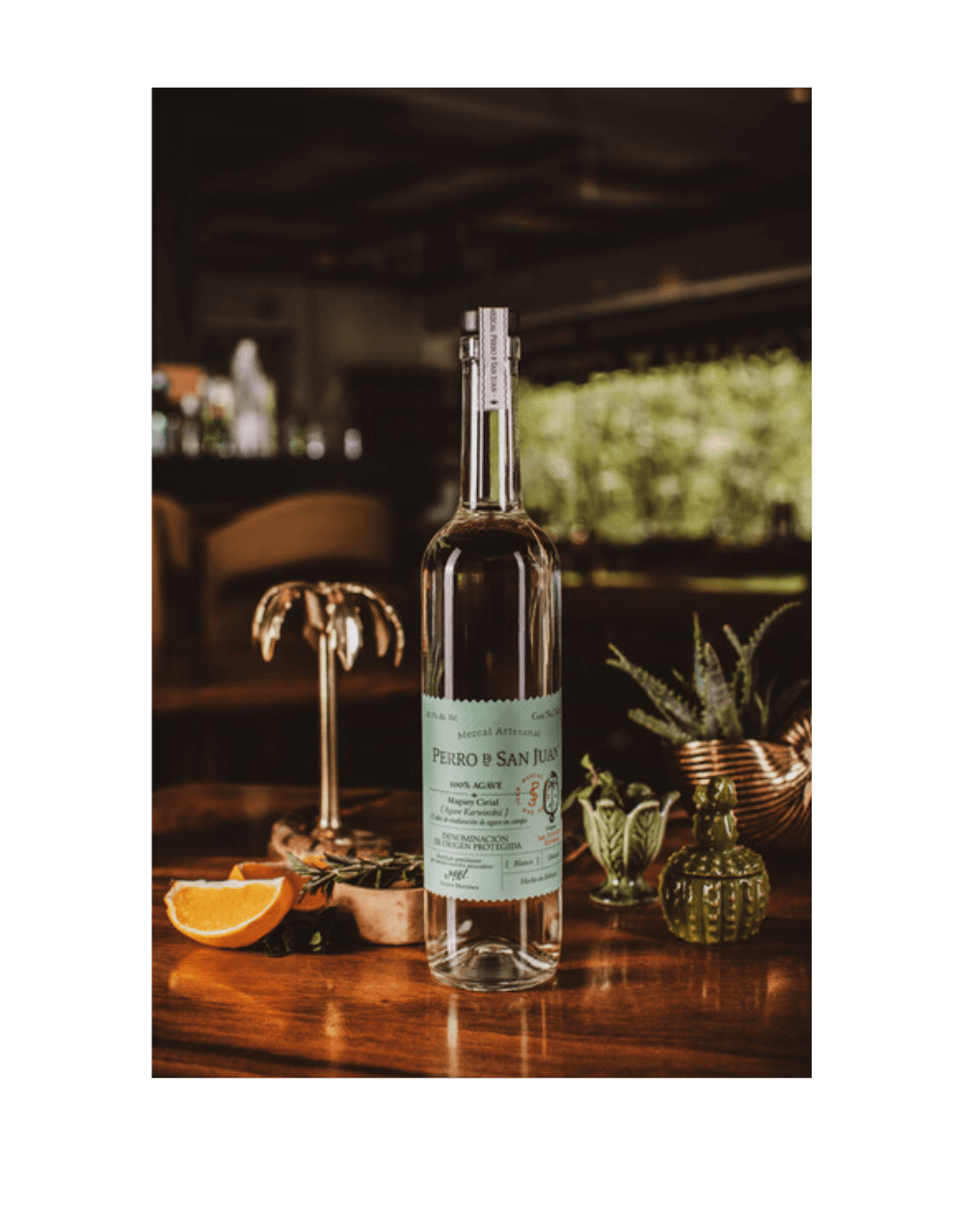 PERRO DE SAN JUAN CIRIAL MEZCAL