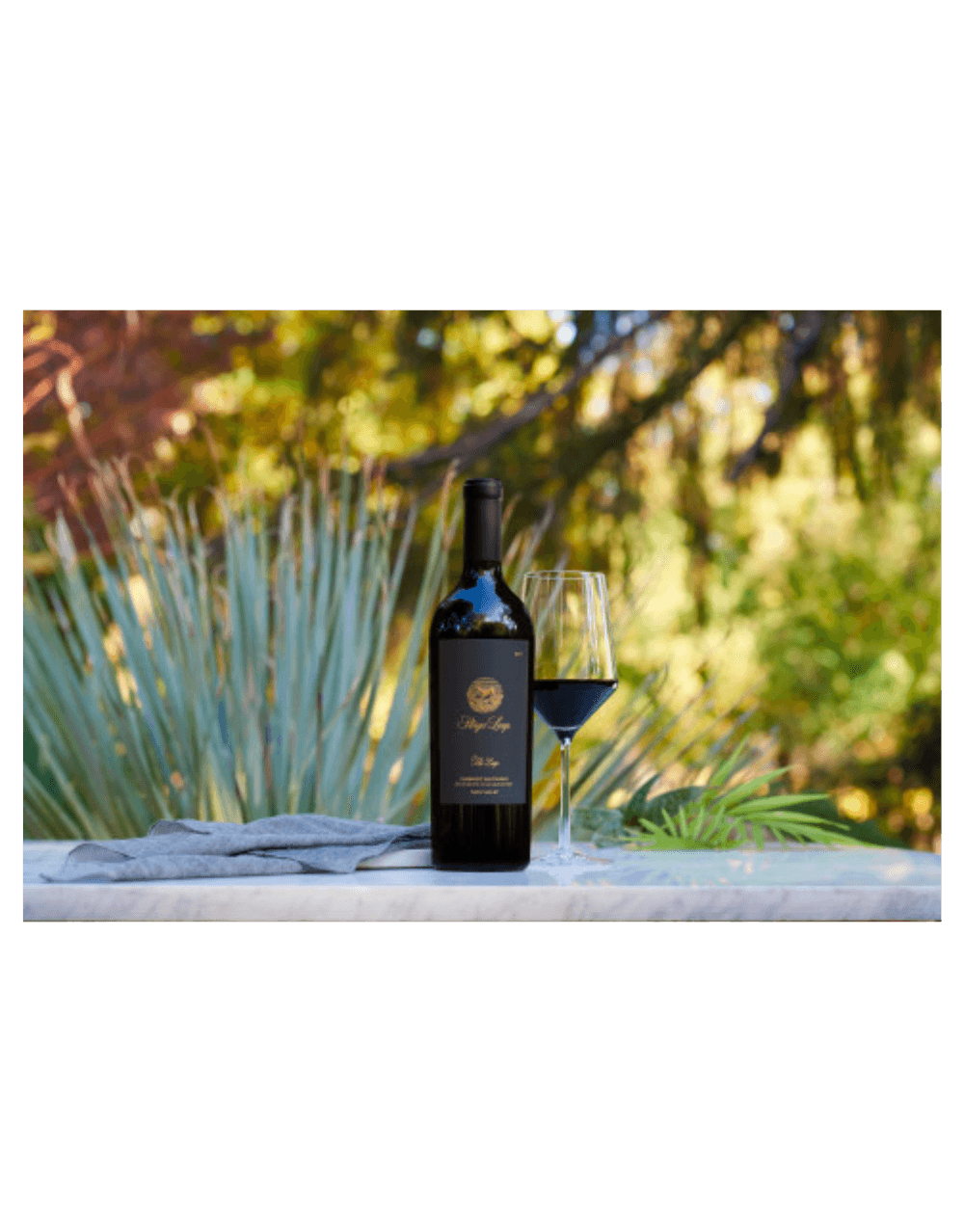 STAGS' LEAP WINERY 'THE LEAP' NAPA VALLEY CABERNET SAUVIGNON