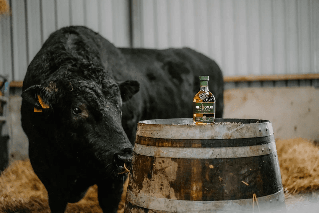 KILCHOMAN BATCH STRENGTH SCOTCH WHISKY