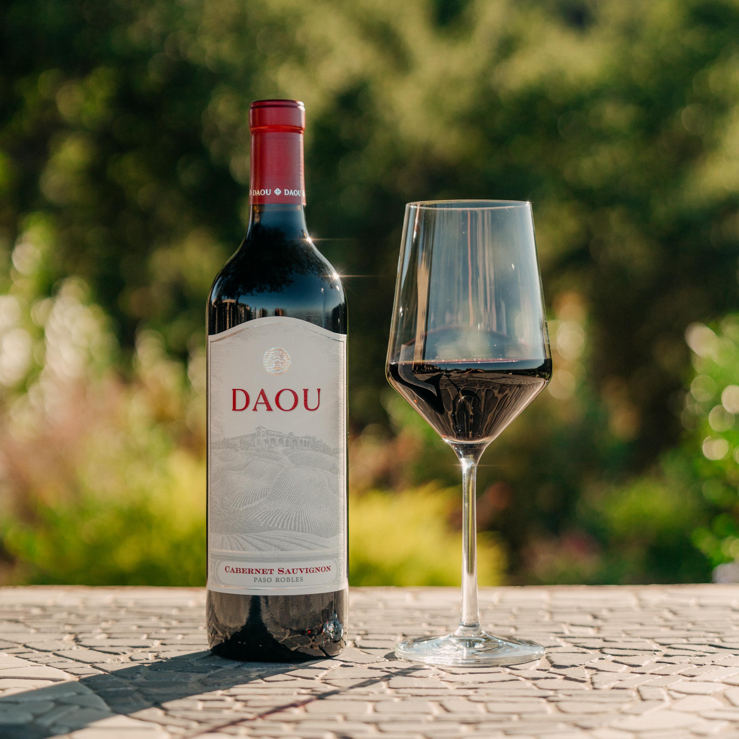 DAOU VINEYARD 'DISCOVERY' PASO ROBLES CABERNET SAUVIGNON