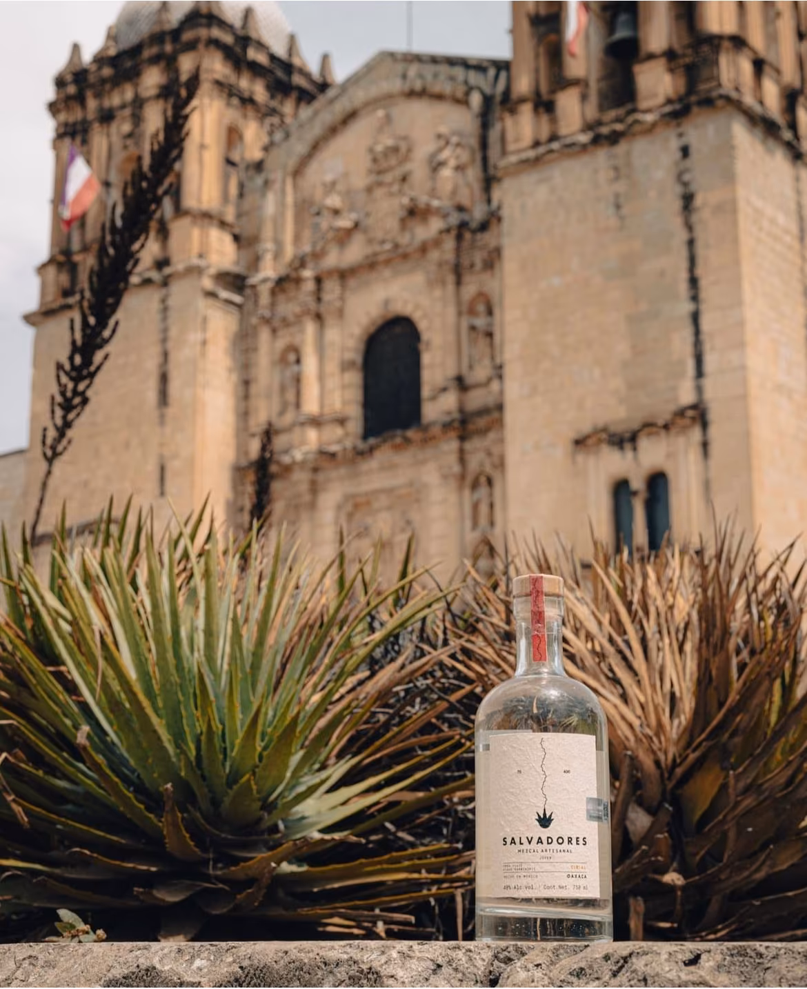 SALVADORES MEZCAL CIRIAL JOVEN