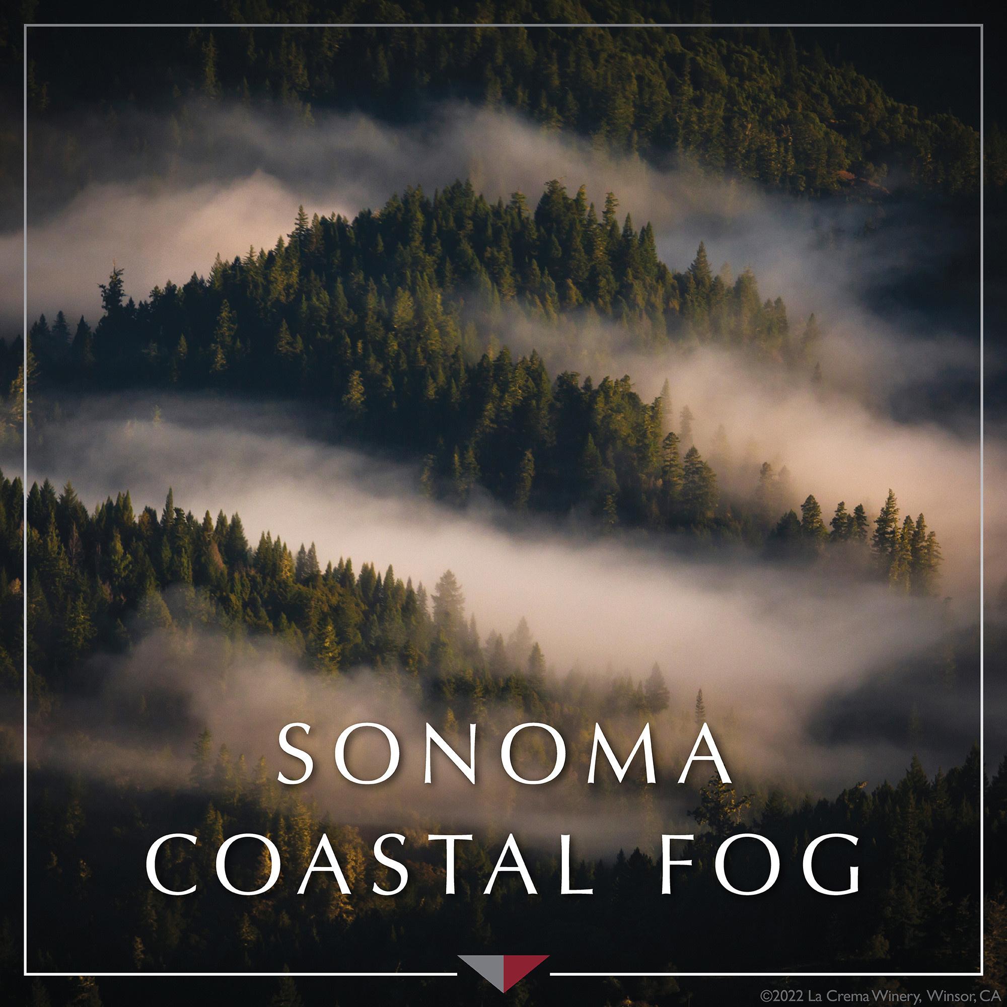LA CREMA SONOMA COAST CHARDONNAY