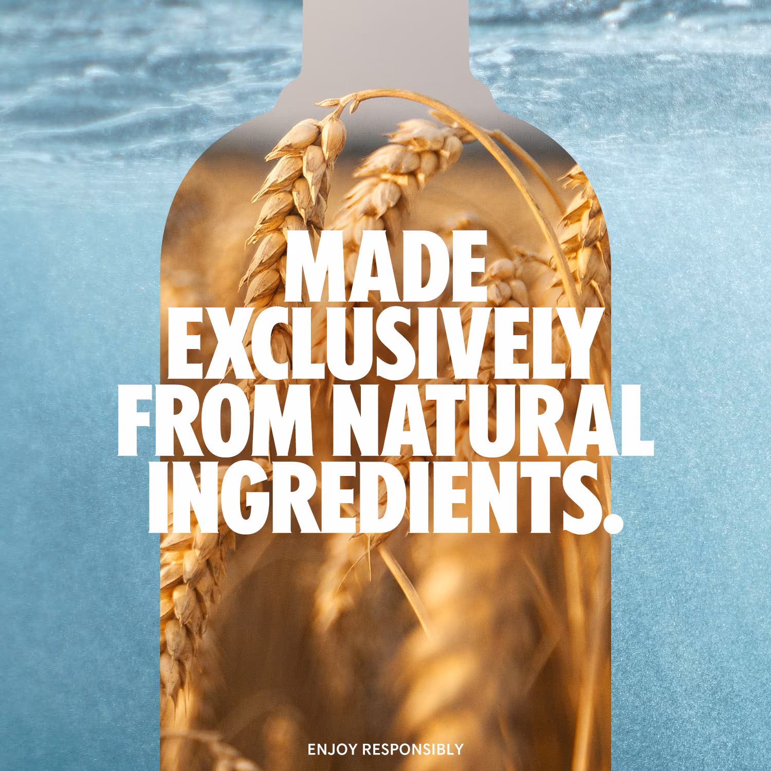ABSOLUT MANGO VODKA