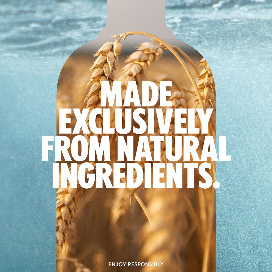 ABSOLUT WILD BERRI VODKA