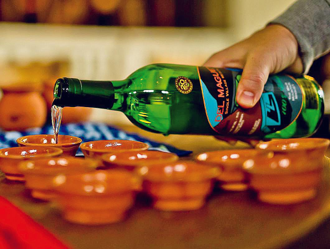 DEL MAGUEY SAN LUIS DEL RIO