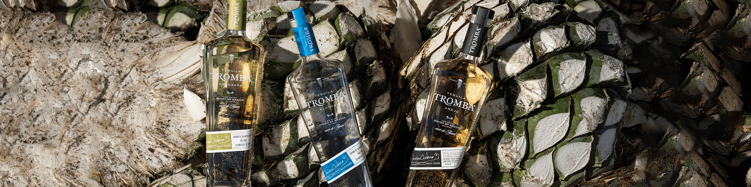 Tequila Tromba