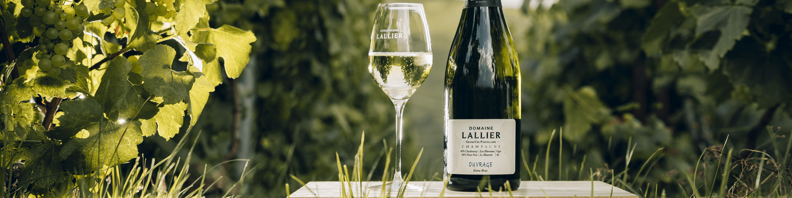 Lallier Champagne