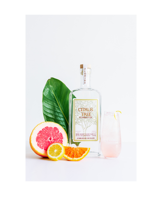 Gamblers Bay Distillery Citrus Tree Floridian Gin - Lifestyle