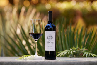 Stags' Leap Winery 'Investor' Napa Valley Red Blend - Lifestyle