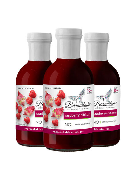 Raspberry-Hibiscus Barmalade All Natural Fruit Mixer - Main