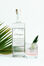 Gamblers Bay Distillery Florapina White Rum, , lifestyle_image