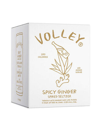 Volley Spicy Ginger Tequila Seltzer - Main