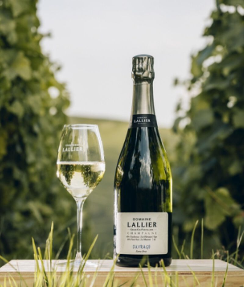 Bottle of Lallier Ouvrage Grand Cru Parcellaire Champagne with a champagne flute in a vineyard
