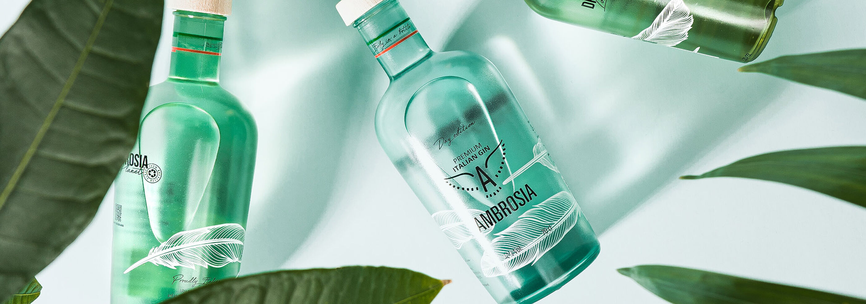 Ambrosia Gin bottles with palms and leaves