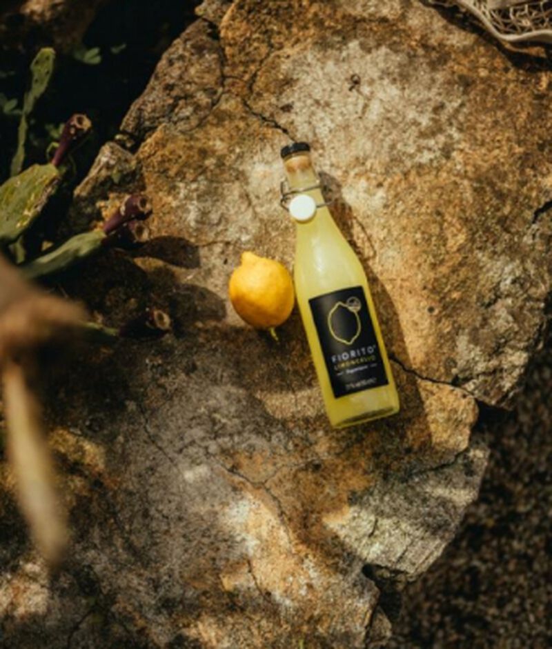 Bottle of Fiorito Limoncello laying on a rock